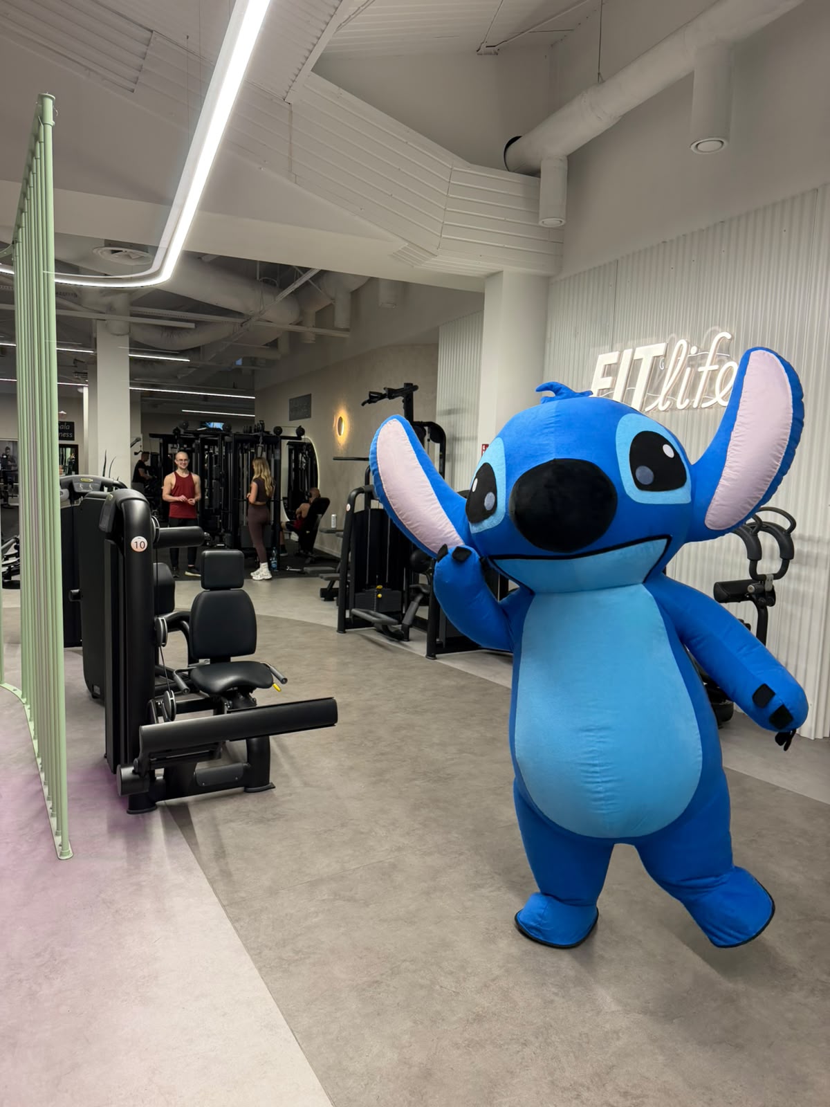 Maskotka Stitch na siłowni